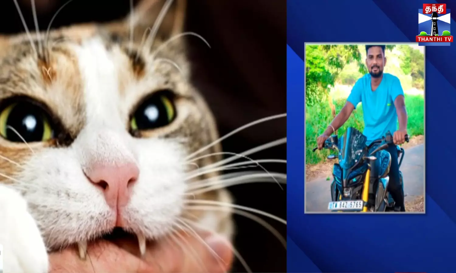 பூனை கடித்ததால் பாதிக்கப்பட்ட இளைஞர் தூக்கிட்டு தற்கொலை