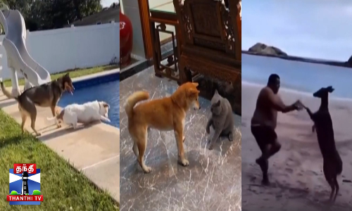 இன்னைக்கு நீயா... நானானு... பாத்துடுவோம்...