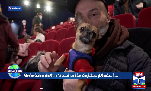 செல்லப்பிரானிகளோடு படம் பார்க்க பிரத்யேக தியேட்டர்