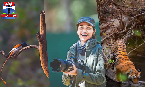 வைல்ட் லைஃப் போட்டோகிராஃபியில் கலக்கும் சதா!