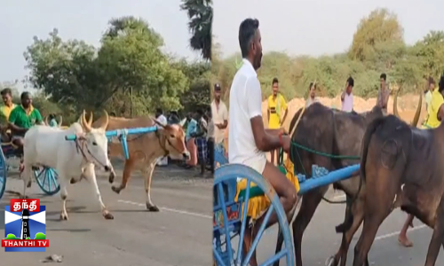 சித்திரை திருவிழா - மாட்டு வண்டி எல்கை பந்தயம்