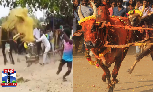 எருதாட்டத்தில் இளைஞர்களை தூக்கி வீசி பந்தாடிய காளைகள்