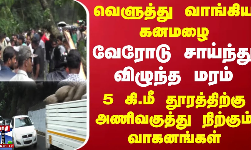 வெளுத்து வாங்கிய கனமழை..! வேரோடு சாய்ந்து விழுந்த மரம்..  அணிவகுத்து நிற்கும் வாகனங்கள்