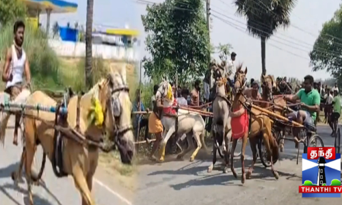 எல்கை, குதிரை வண்டி பந்தயம்-சிக்கி கொண்ட குதிரை வண்டிகள்