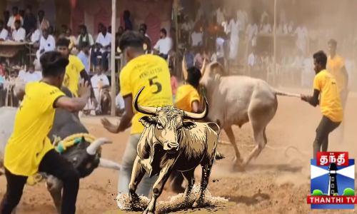 மஞ்சுவிரட்டில் வீரர்களை பறக்கவிட்ட காளைகள்