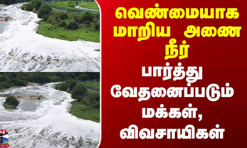 வெண்மையாக மாறிய அணை நீர் - பார்த்து வேதனைப்படும் மக்கள், விவசாயிகள்