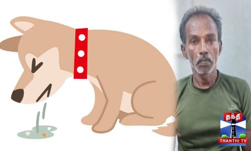 4 நாய்கள் விஷம் வைத்து கொலை - தோட்ட பணியாளர் கைது