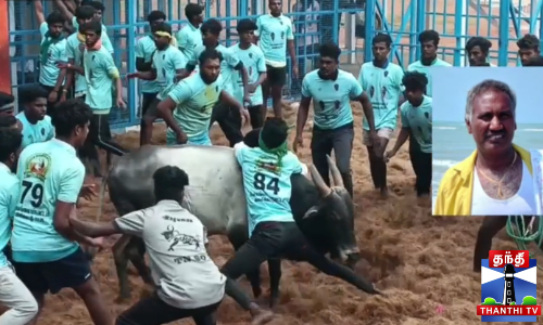 ஜல்லிக்கட்டு காளை முட்டி உரிமையாளர் உயிரிழப்பு