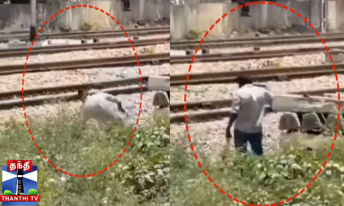 போலீசை கண்டதும் தன்னைத்தானே துப்பாக்கிய சுட்டுக்கொண்ட குற்றவாளி