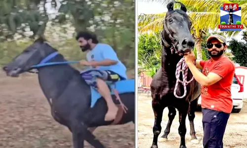 ஜடேஜா குதிரை சவாரி - சிஎஸ்கே மாஸ் வீடியோ