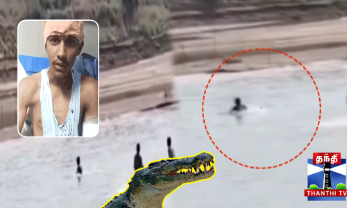 தடகள வீரரை தாக்கிய முதலை - போராடி தப்பிய வீரர் தடகள வீரரை தாக்கிய முதலை - போராடி தப்பிய வீரர்