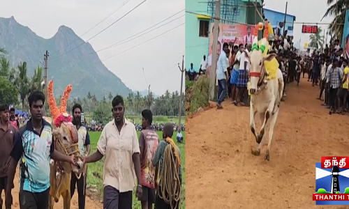 காளை விடும் விழாவில் சீறிப் பாய்ந்த காளைகள்..