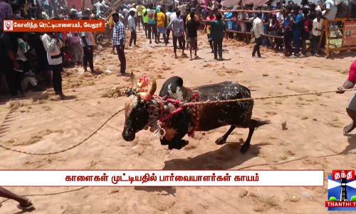 விறுவிறுப்பாக நடைபெற்ற எருது விடும் விழா - சீறிப்பாய்ந்த காளைகள், காளைகள் முட்டியதில் பார்வையாளர்கள் காயம்