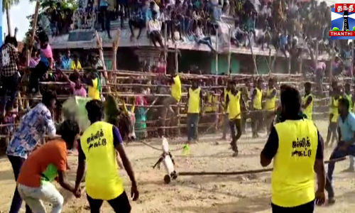 எருதாட்டத்தில் காவலரை முட்டி தூக்கி வீசிய காளை - பரபரப்பு