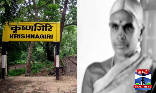 தாயை கொன்று தூக்கில் தொங்கவிட்ட மகன்