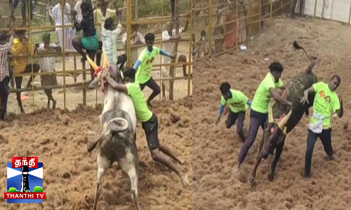 மஞ்சுவிரட்டு - மாடு முட்டி சிறுவன் உயிரிழப்பு