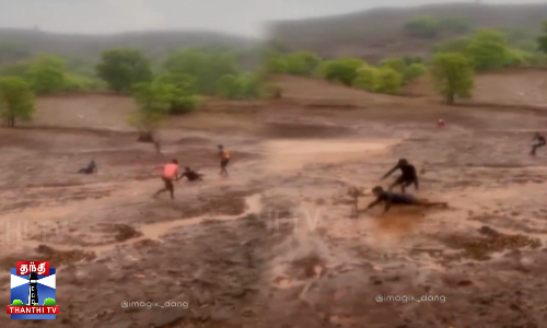 சேற்றில் கிரிக்கெட் விளையாடி உற்சாகம் - வைரல் வீடியோ