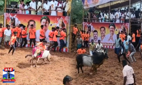 ஜல்லிக்கட்டு - போட்டி போட்டு காளைகளை அடக்கிய வீரர்கள்