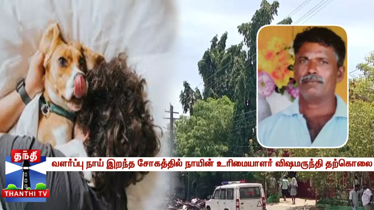 வளர்ப்பு நாய் இறந்த சோகத்தில் நாயின் உரிமையாளர் விஷமருந்தி தற்கொலை