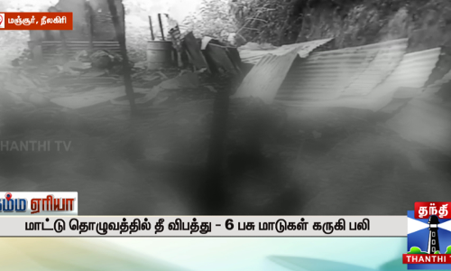 மாட்டு தொழுவத்தில் தீ விபத்து - 6 பசு மாடுகள் கருகி பலி