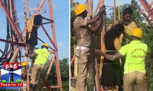 பணப்பிரச்சினை - செல்போன் டவரில் ஏறிய இளம்பெண்