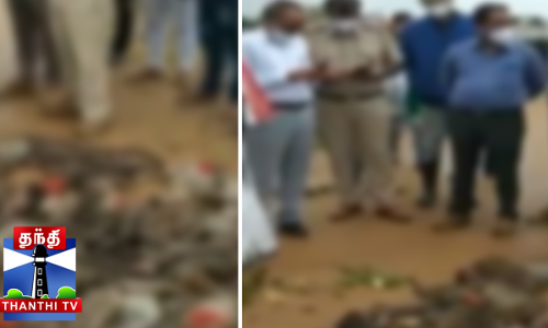 பந்திப்பூர் வனப்பகுதியில் 20 குரங்குகள் சடலமாக கண்டெடுப்பு பந்திப்பூர் வனப்பகுதியில் 20 குரங்குகள் சடலமாக கண்டெடுப்பு