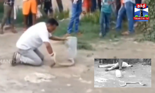 பாம்பு பிடி வீரர் பாம்பு கடித்து உயிரிழந்த சோகம்