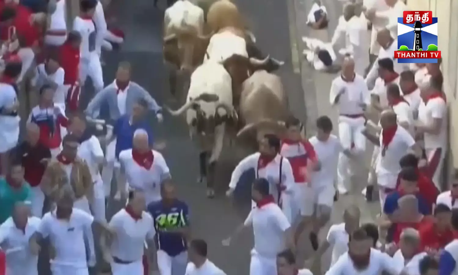 ஸ்பெயினில் களைகட்டிய பாரம்பரிய காளை ஓட்டம்