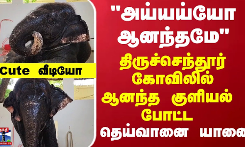 அய்யய்யோ ஆனந்தமே திருச்செந்தூர் கோவிலில் ஆனந்த குளியல் போட்ட தெய்வானை யானை அய்யய்யோ ஆனந்தமே திருச்செந்தூர் கோவிலில் ஆனந்த குளியல் போட்ட தெய்வானை யானை