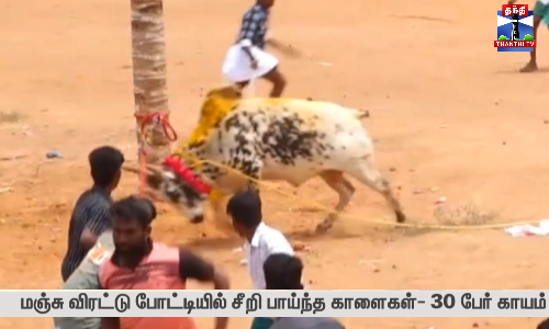மஞ்சு விரட்டு போட்டியில் சீறி பாய்ந்த காளைகள்- 30 பேர் காயம்