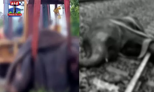 ரயில் மோதி 3 யானைகள் உடல் நசுங்கி உயிரிழப்பு