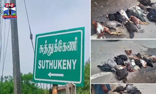 அரிசியில் விஷம் வைத்து கொடுத்ததில் 20 கோழிகள் பலி- போலீஸ் விசாரணை