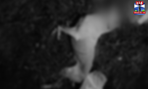 நாய்க்கு உணவில் நாட்டு வெடிகுண்டு வைத்து கொன்ற கொடூரம்