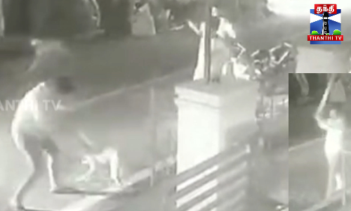 கொடூரமாக தாக்கப்படும் தெருநாய்கள் - அதிர்ச்சிகர காட்சி