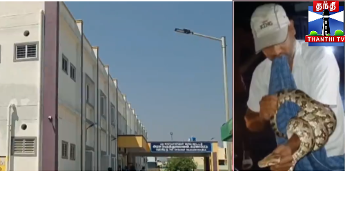 வேலூரில் மலைபாம்பை பிடிக்கும் முயற்ச்சியில் ஈடுபட்ட நபரை, திடீரென பாம்பு கடித்ததால் பரபரப்பு ஏற்பட்டது. வேலூரில் மலைபாம்பை பிடிக்கும் முயற்ச்சியில் ஈடுபட்ட நபரை, திடீரென பாம்பு கடித்ததால் பரபரப்பு ஏற்பட்டது.