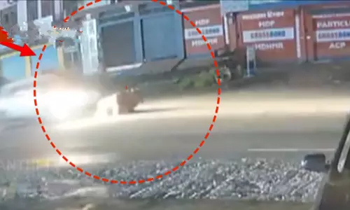 அதிவேகத்தில் மோதிய கார் - பரிதாபமாக உயிரிழந்த மாடு