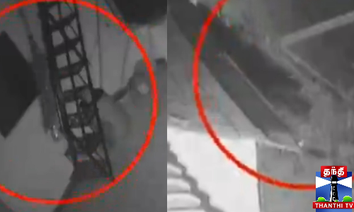 நாயை வேட்டையாட வந்த சிறுத்தை - சிசிடிவி காட்சி