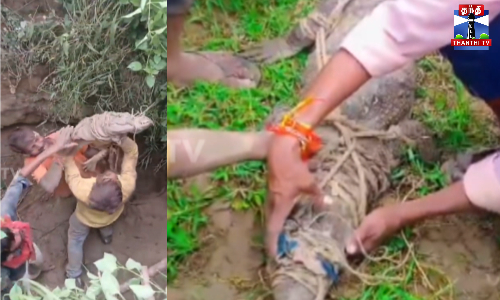 முதலையை குழந்தையைப் போல் பைக்கில் தூக்கிச் சென்ற சிறுவர்கள்