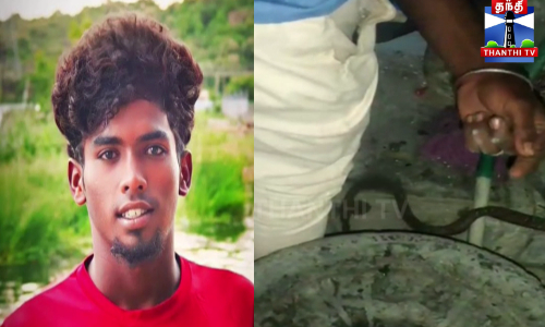பாம்பு கடித்து இளைஞர் பலி - விபரீத செயலால் பறிபோன உயிர் பாம்பு கடித்து இளைஞர் பலி - விபரீத செயலால் பறிபோன உயிர்
