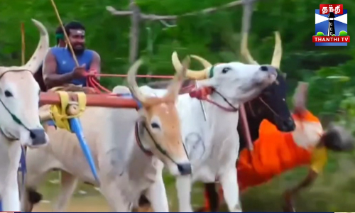 சாலையோரம் சென்ற பெண்ணை முட்டி தூக்கி வீசிய மாட்டு வண்டி