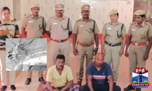மான் வேட்டை - தப்பிச் செல்ல முயன்ற 3 பேர் கைது மான் வேட்டை - தப்பிச் செல்ல முயன்ற 3 பேர் கைது