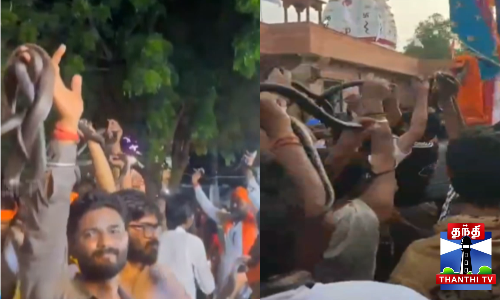 கோவிலுக்கு கையில் விஷப்பாம்புடன் வந்த பக்தர்கள் கோவிலுக்கு கையில் விஷப்பாம்புடன் வந்த பக்தர்கள்