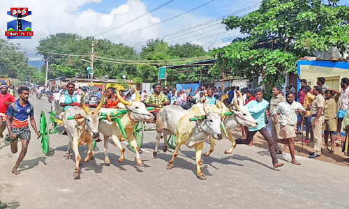 கோயில் திருவிழாவை முன்னிட்டு மாட்டு வண்டி பந்தயம்