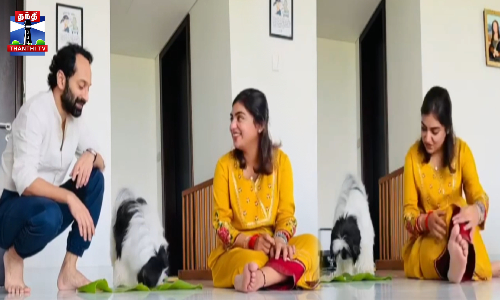 செல்ல நாயோடு ஓணம் பண்டிகை கொண்டாடி மகிழ்ந்த நடிகை நஸ்ரியா பகத் பாசில்