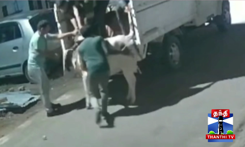 செங்கல்பட்டில் இரவு நேரங்களில் சாலைகளில் சுற்றித்திரியும் மாடுகளை மர்ம நபர்கள் லாரியில் திருடிச் ​செல்லும் சிசிடிவி காட்சிகள் வெளியாகி உள்ளது...