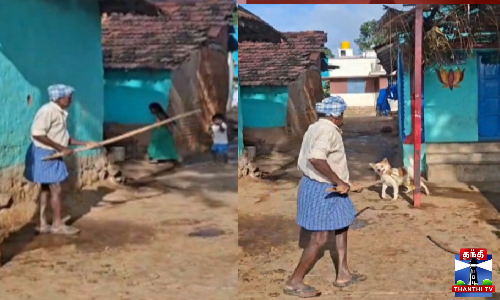 வளர்ப்பு நாயை கட்டிவைத்து அடித்த முதியவர்