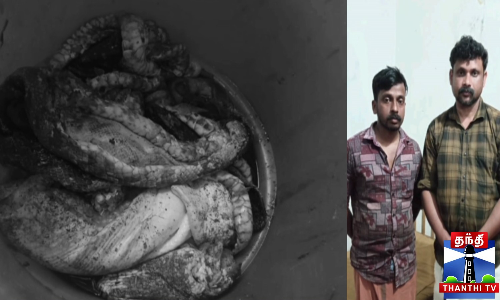 இதையுமா சாப்பிடுவீங்க- மலைபாம்பு கறி சாப்பிட்ட 2 பேர் கைது