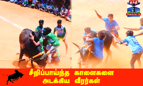 சீறிப்பாய்ந்த காளைகளை அடக்கிய வீரர்கள்