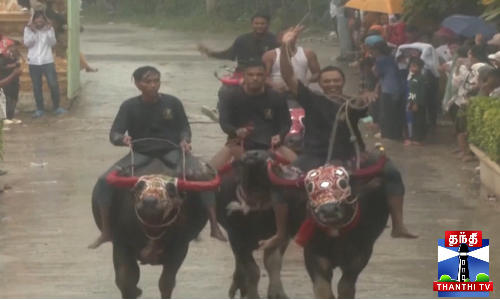 கம்போடியாவில் களைகட்டிய எருமைப் பந்தயம்