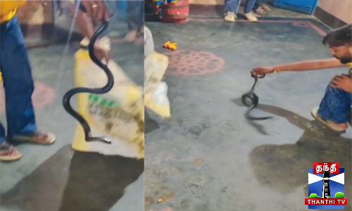 போதையில் பாம்புடன் விளையாடிய இளைஞர் மரணம்